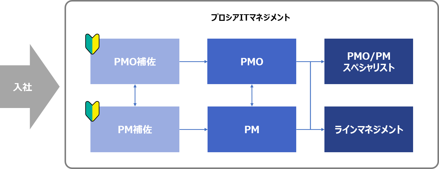 キャリアパスの全体像